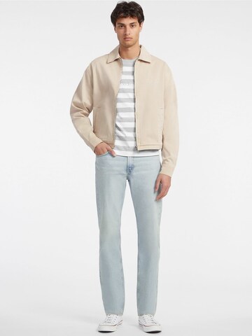 GUESS JEANS - Camisa em cinzento