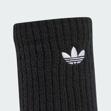 Jambière ADIDAS ORIGINALS en noir