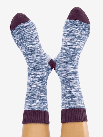 CHEERIO* Socks 'BOOT BUDDY' in Blue: front