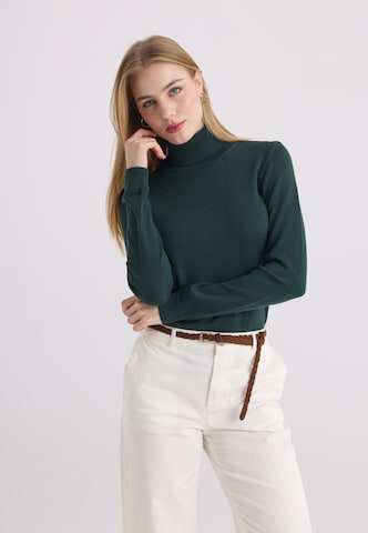 Pull-over Felix Hardy en vert