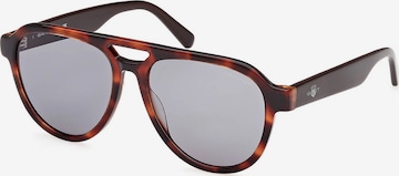 GANT Sunglasses in Brown: front