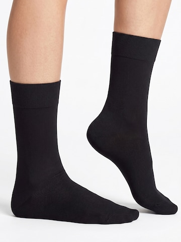 footstar Socks 'EVERYDAY!' in Black