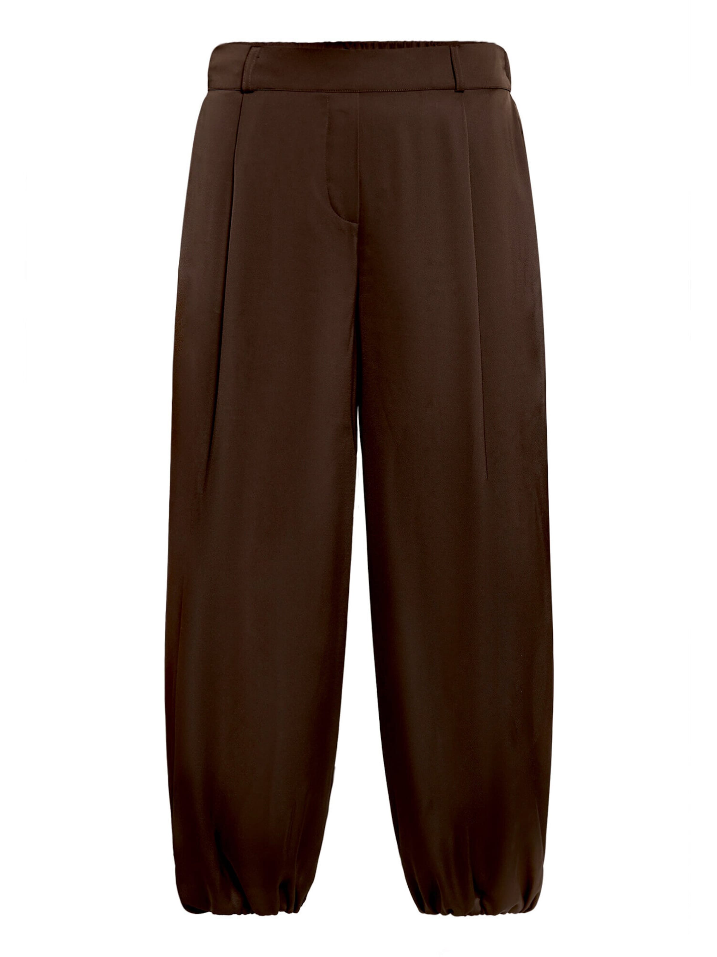 Loosefit Pantalon Vera Mont en marron : devant