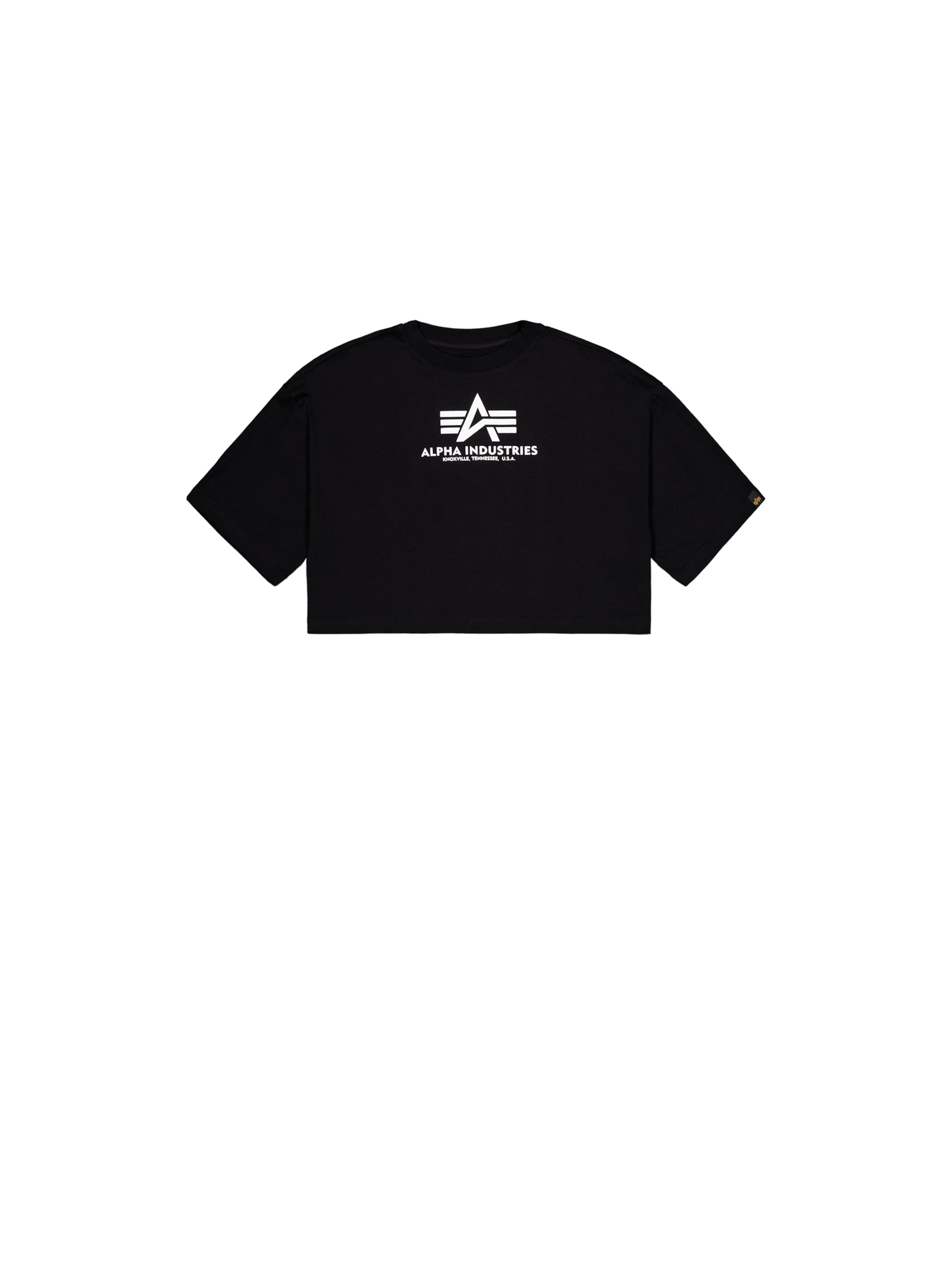 Tricou de la ALPHA INDUSTRIES pe negru: față