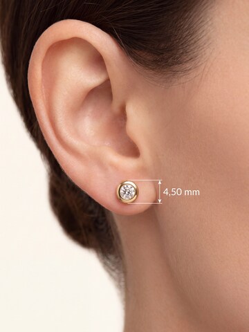 Jobo Earrings in Gold