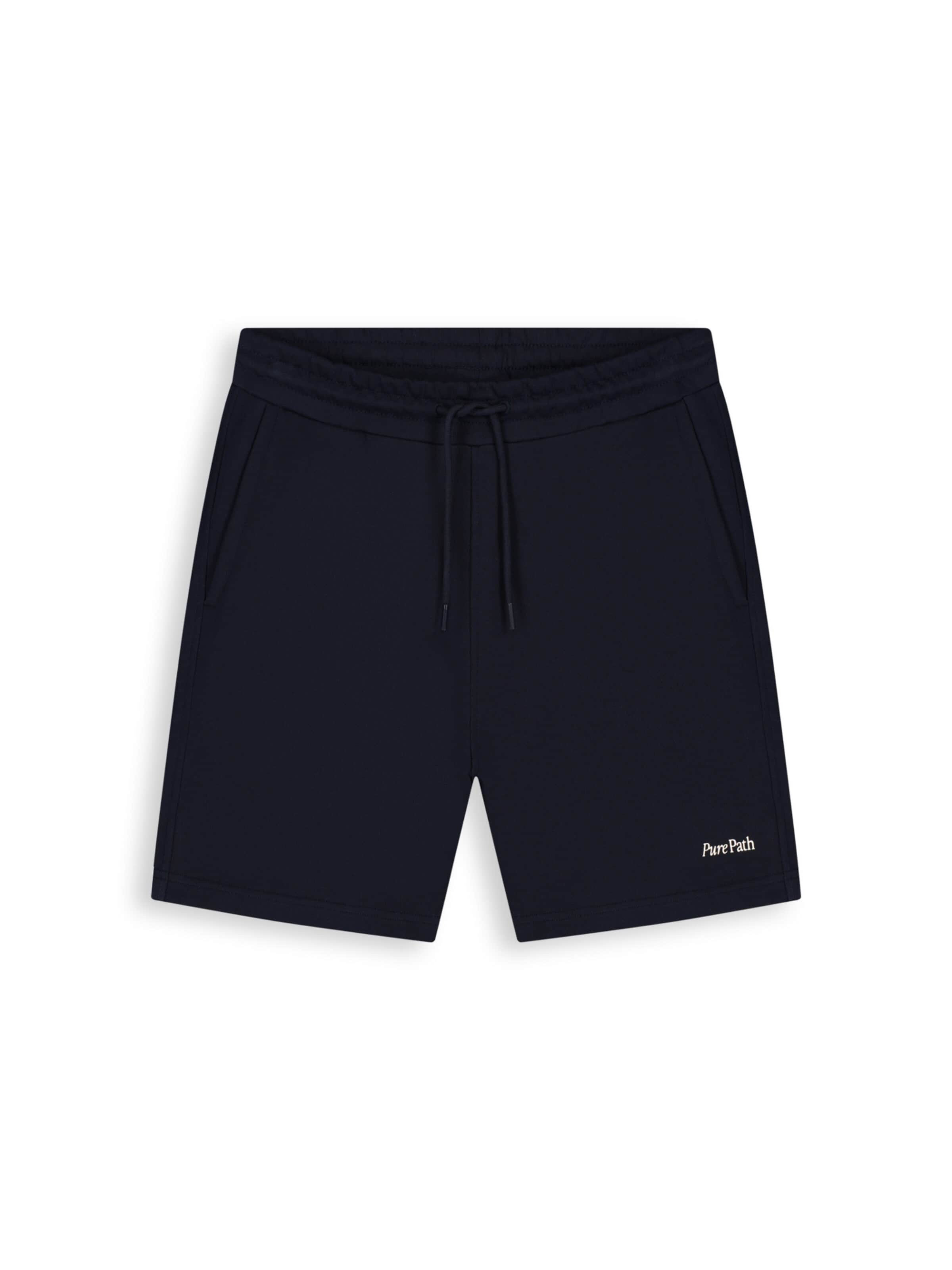 Pure Path Regular Pants in Blue: front
