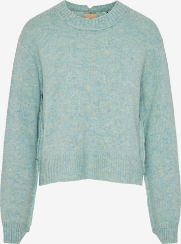 mėlyna Funky Buddha Megztinis: priekis