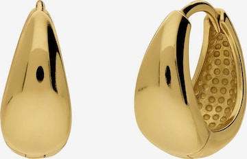 Lucardi Earrings 'Statement' in Gold: front