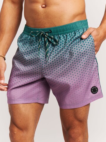 PROTEST Board Shorts 'PRTNorthaw' in Green