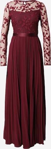 Coast Kleid in Rot: predná strana