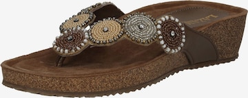 LAZAMANI Zehentrenner in Braun: Vorderseite