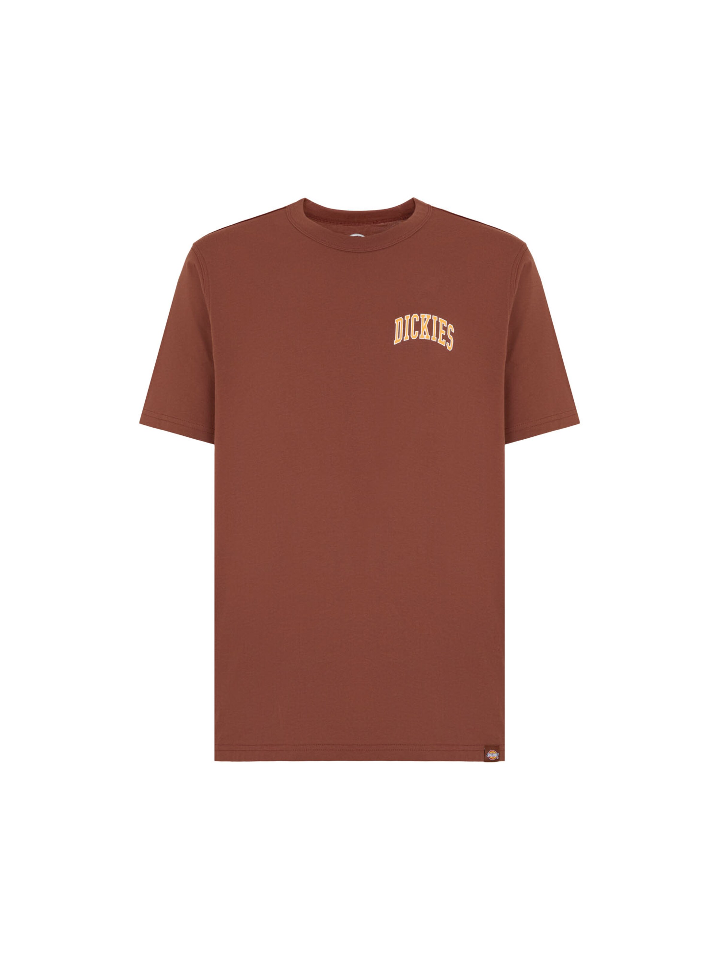 DICKIES T-shirt 'Aitkin' i brun: framsida
