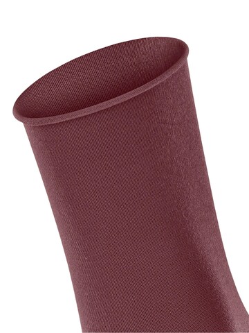 FALKE Socken 'Active Breeze'‌‌‌ in Rot: Vorderseite