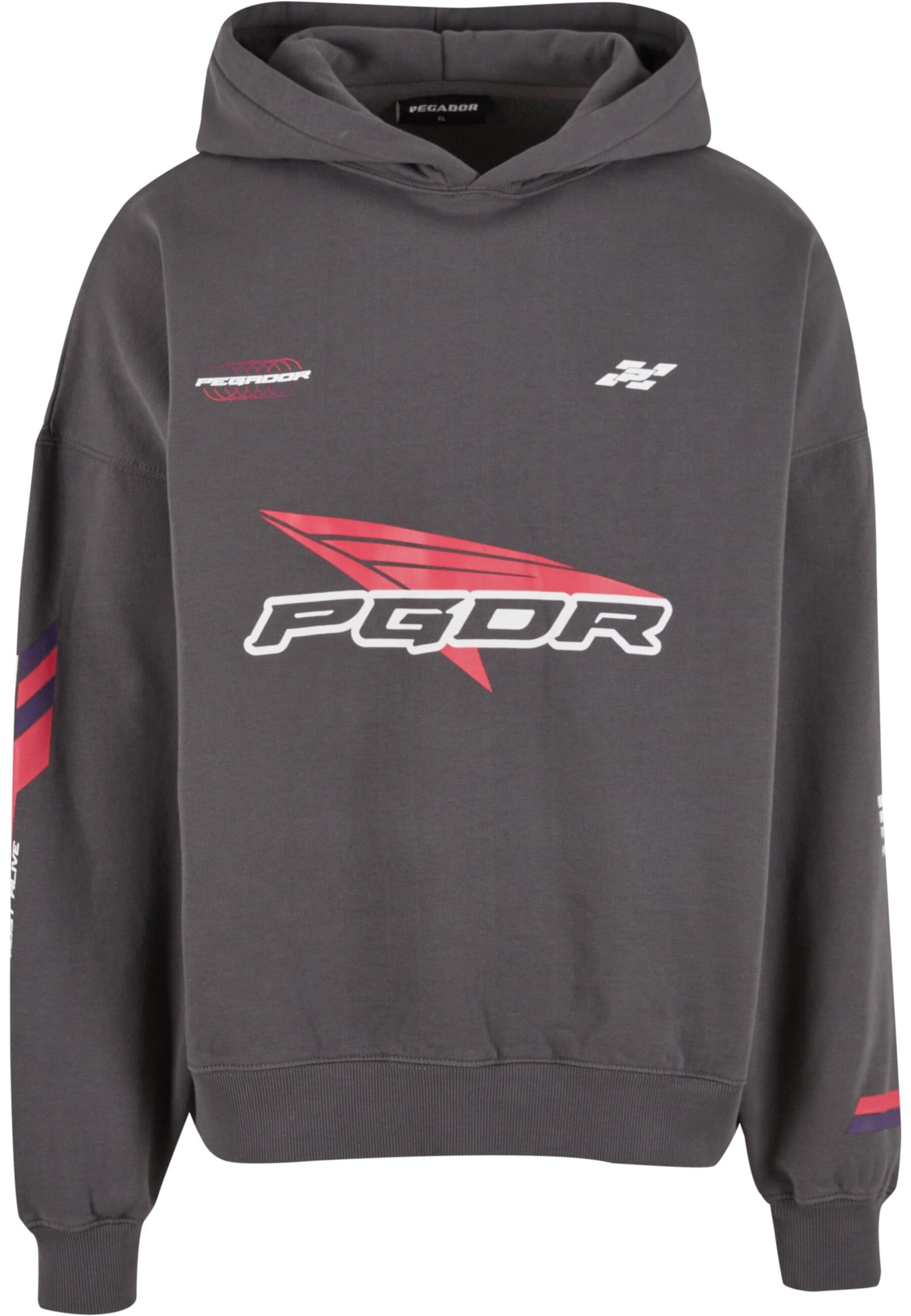 Pegador Sweatshirt 'Dome' in Grijs: voorkant