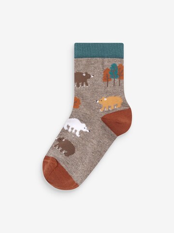 Next Socken in Braun