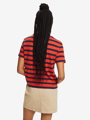 ESPRIT T-Shirt in Orange