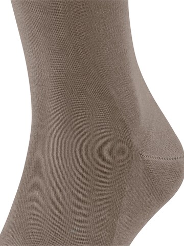 FALKE Knee High Socks 'Tiago' in Brown
