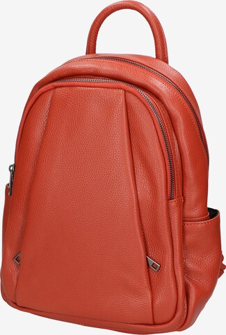 Gave Lux Backpack in Orange: front