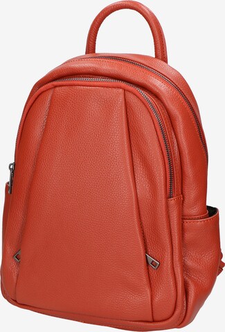 Gave Lux Rucksack in Orange: predná strana