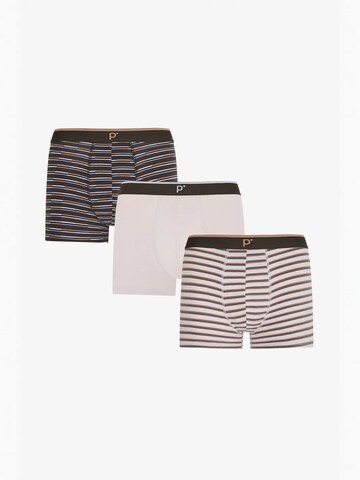 Penti Boxershorts 'PENTI Herren Tone Boxershorts mit Streifen'‌ in Mischfarben: Vorderseite