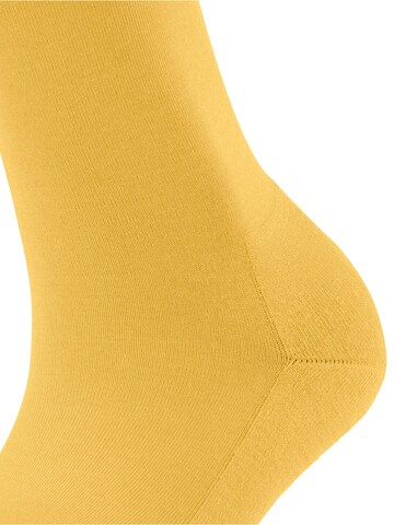 FALKE Socks 'ClimaWool' in Yellow