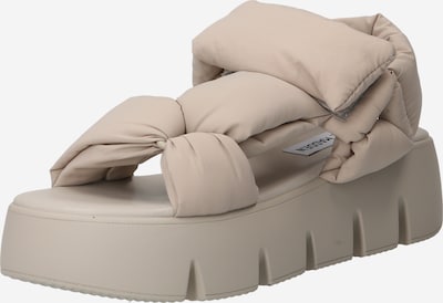 STEVE MADDEN Sandale 'BONKERS' in greige, Produktansicht