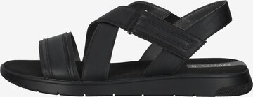 Sandales GEOX en noir