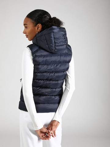 Superdry Vest 'Fuji' in Blue