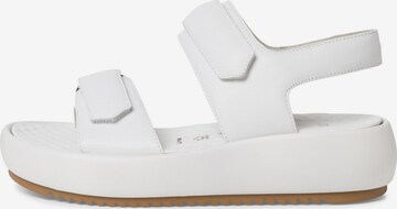 TAMARIS Sandals in White