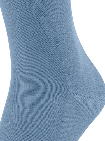 FALKE Socks 'Family' in Blue