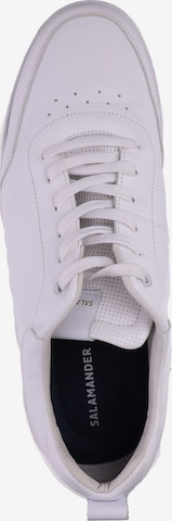 SALAMANDER Sneakers in White