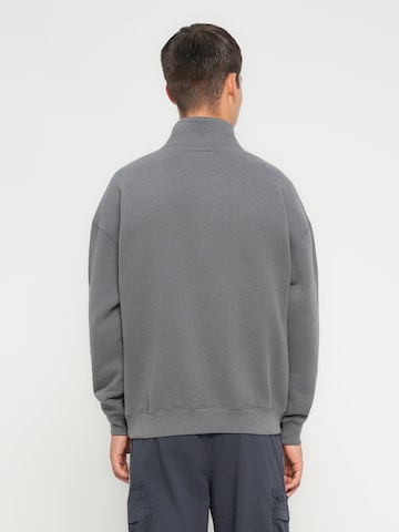 Bluză de molton de la HOLLISTER pe gri