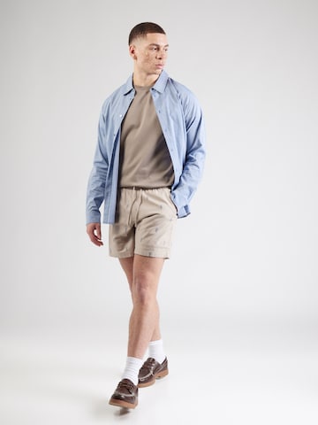 HOLLISTER Обычный Штаны в Серый