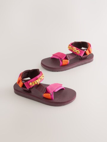 Next Sandal in Purple