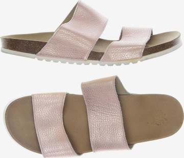 Apple of Eden Sandals & High-Heeled Sandals in 42 in Pink: front