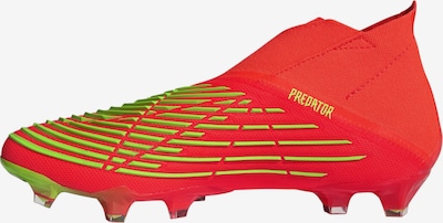 ADIDAS PERFORMANCE Fußballschuh 'Predator Predator EDGE+' in gelb / grün / rot / schwarz, Produktansicht