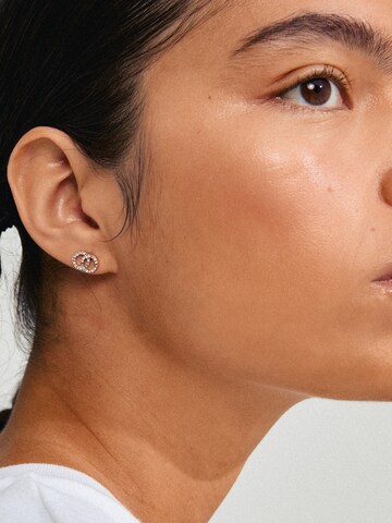 Pilgrim Earrings 'Jolina' in Gold: front