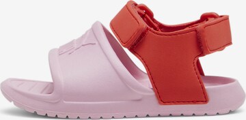 PUMA Sandals 'Divecat v2 Injex' in Pink