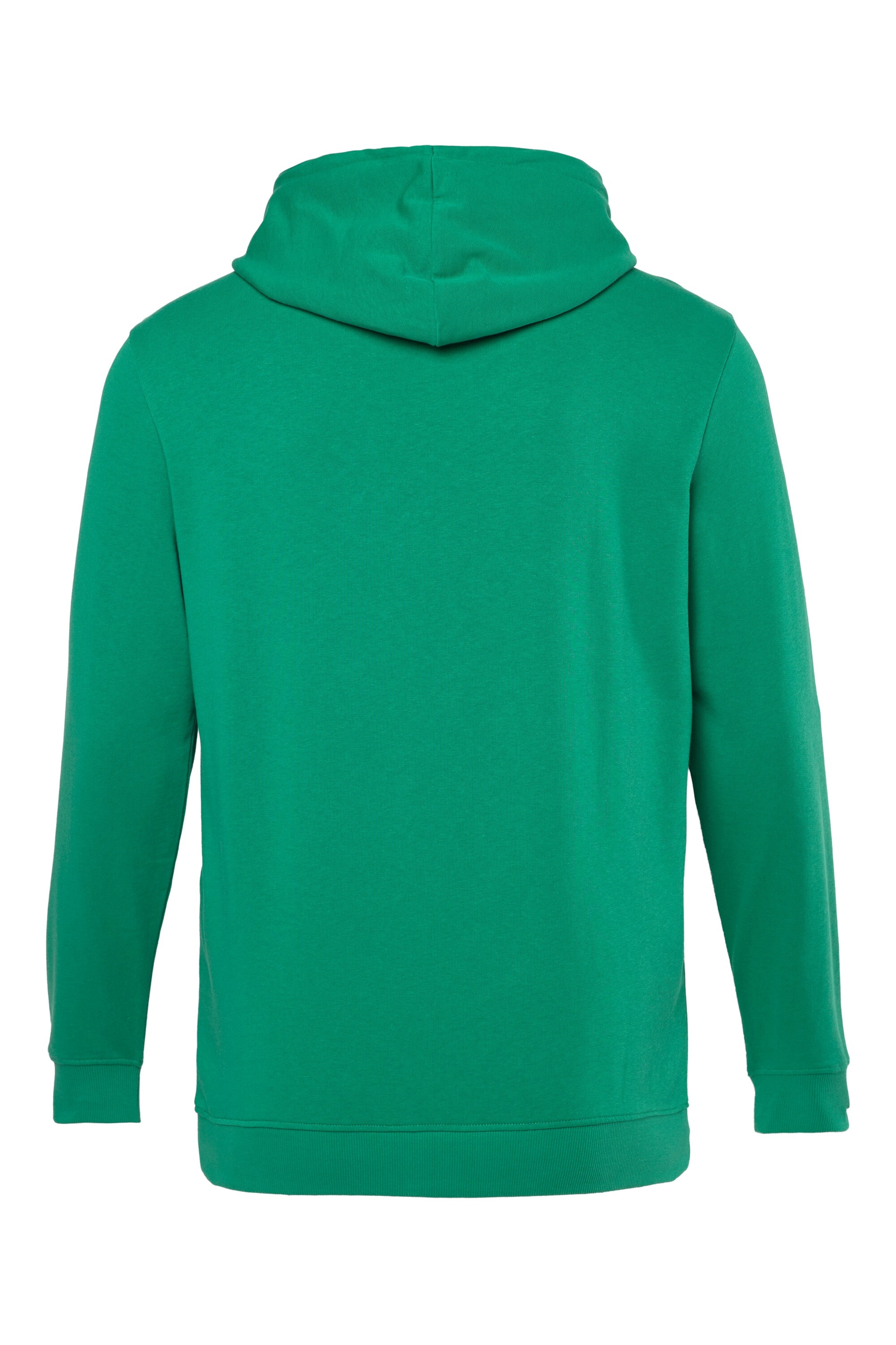 Men Plus Sweatshirt in Grün