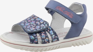 TOM TAILOR Sandale in Blau: Vorderseite