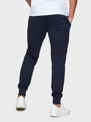 Threadbare Tapered Trousers in Blue