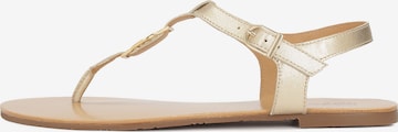 Kazar T-Bar Sandals in Gold: front