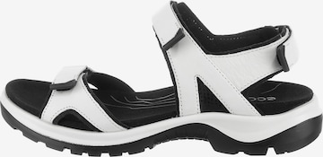 ECCO Wandelsandalen 'Offroad' in Wit