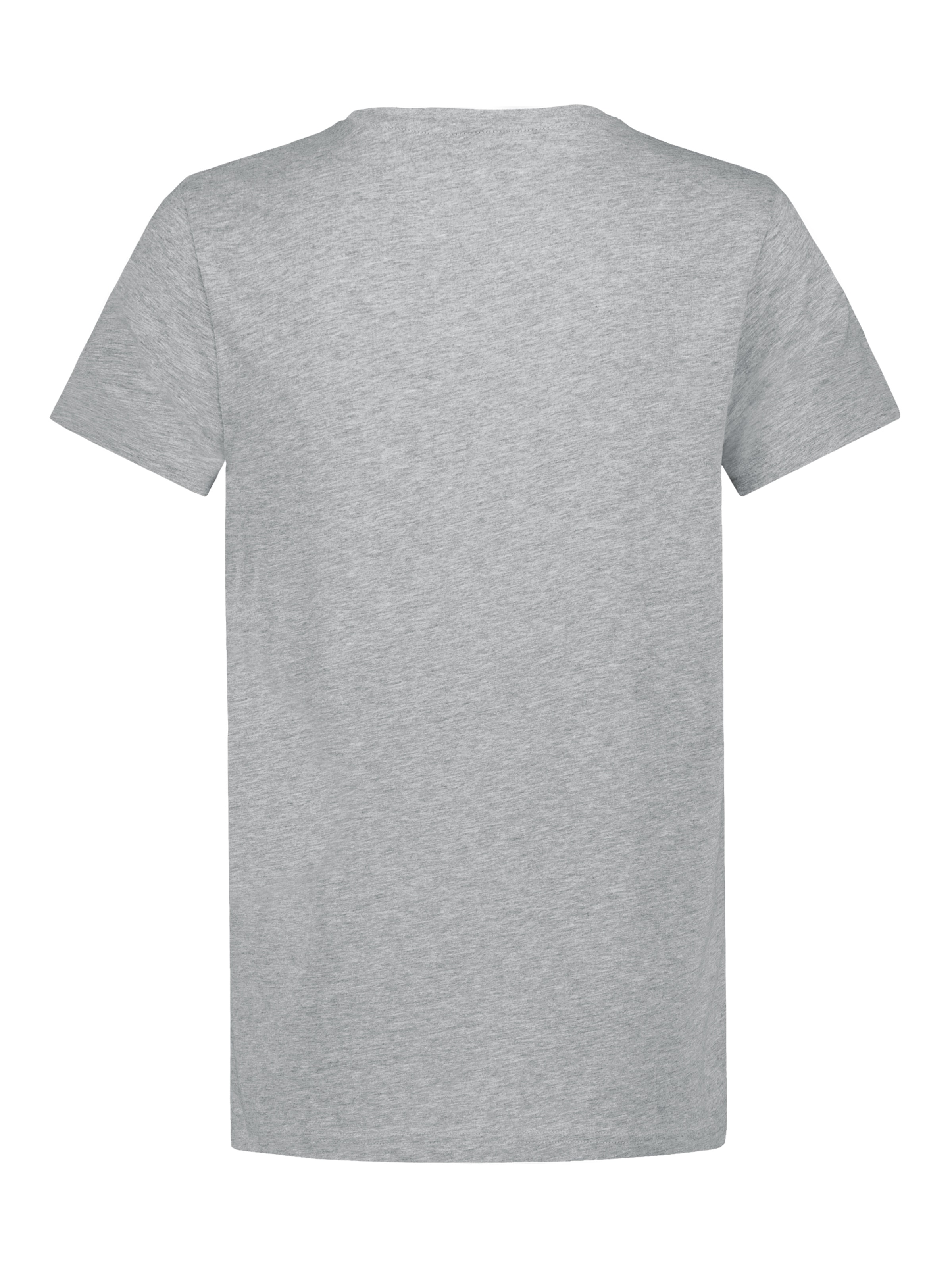 Eight2Nine Shirt in Grey