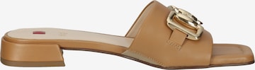 Högl Mules 'Florence' in Brown