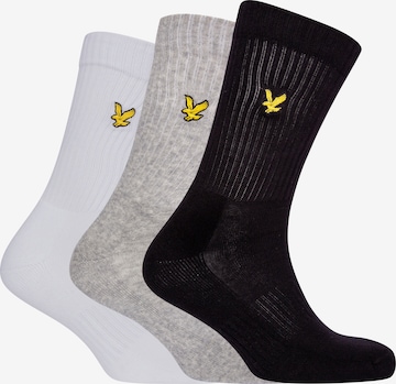 Lyle & Scott Socks 'Hamilton' in Grey: front