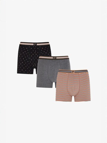 Penti Boxershorts 'PENTI Herren Boxer Ember gestreift'‌‌‌‌‌‌ in Braun: Vorderseite