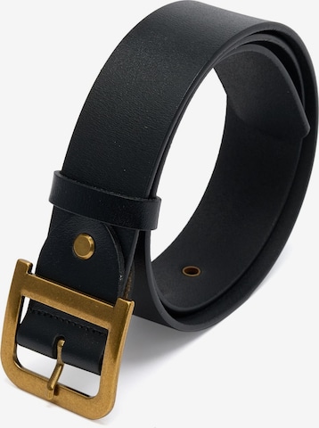 jolar Belt in Black: front
