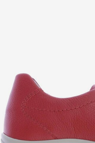 SEMLER Sneakers & Trainers in 34 in Red