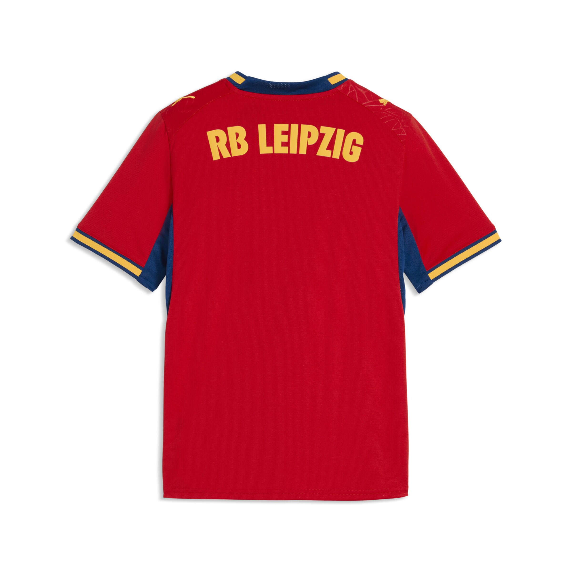 PUMA Functioneel shirt 'RB Leipzig 26/27' in Rood